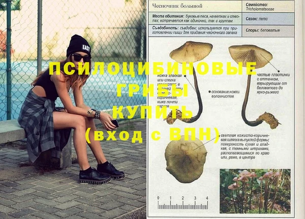 экстази Коряжма