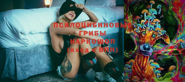 марки nbome Пересвет