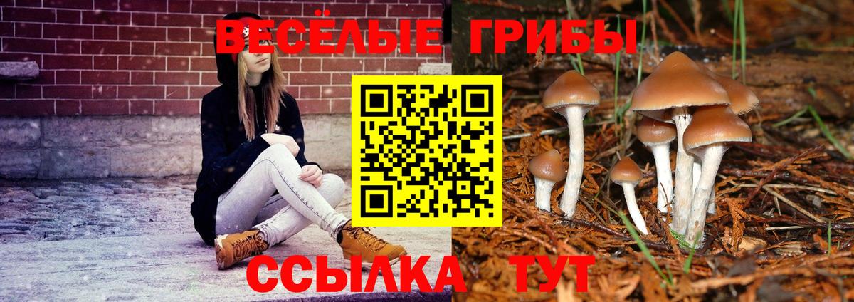 Псилоцибиновые грибы Magic Shrooms Костомукша