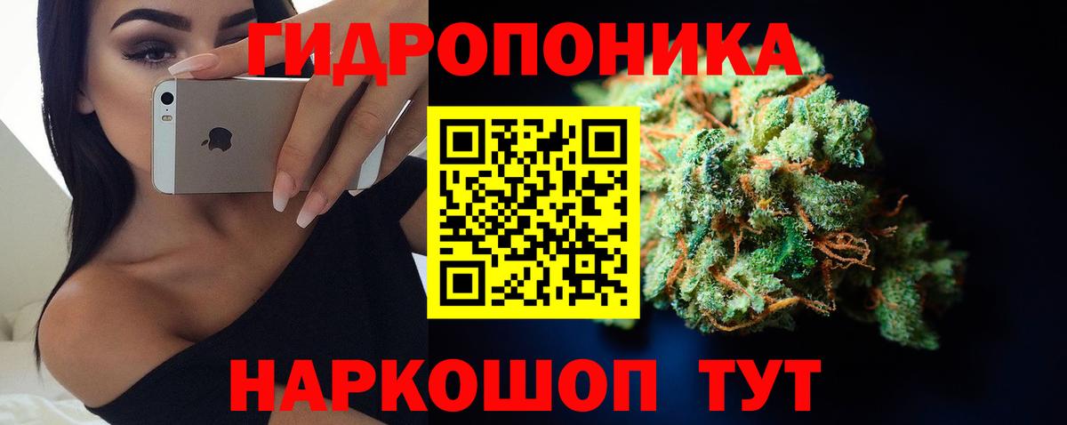 Бошки марихуана MAZAR  Канабис сатива  Костомукша  Вход с VPN  Бошки марихуана SATIVA & INDICA 